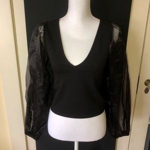 Zara Sheer Long Puff Sleeve Blouse
